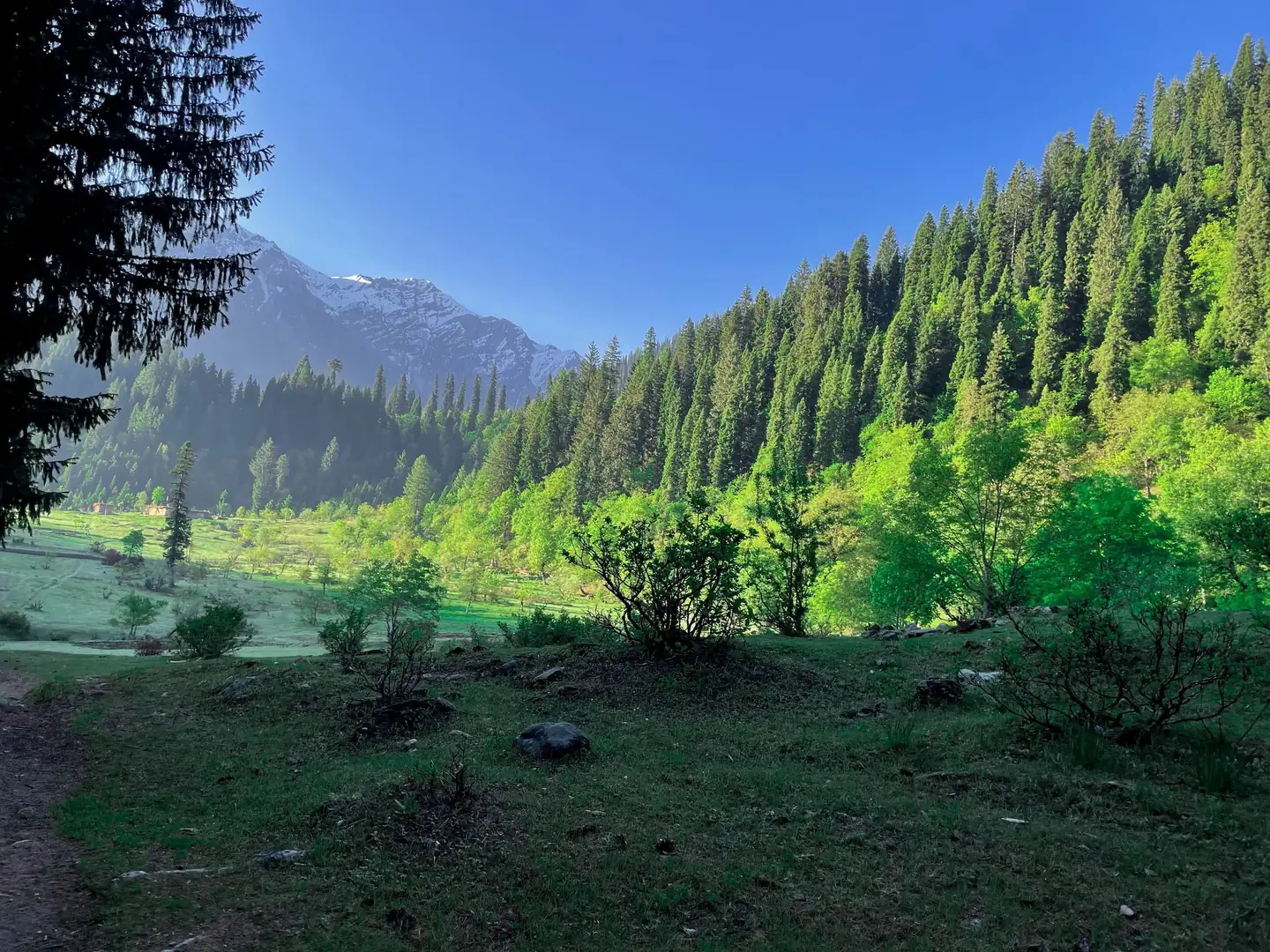 Browse California land by activity