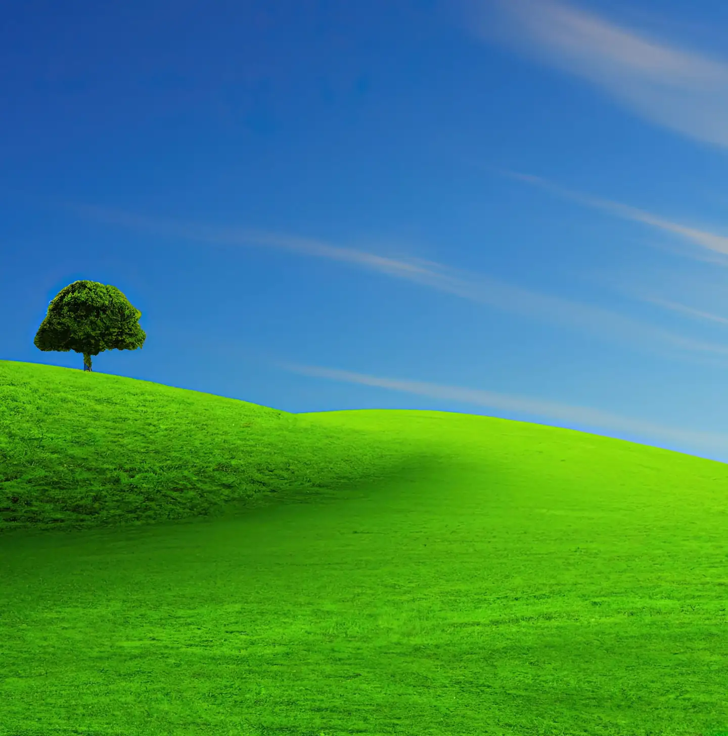 Green California hillside with lone tree